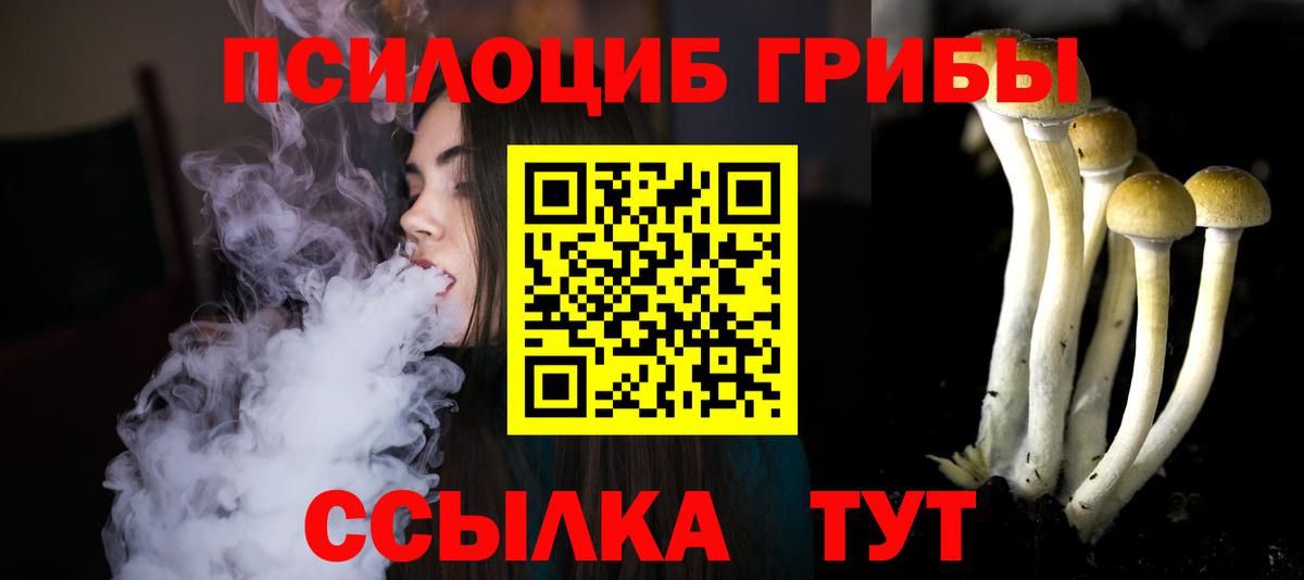 Псилоцибиновые грибы прущие грибы Красноярск